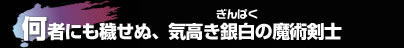 何者にも穢せぬ、気高き銀白の魔術剣士