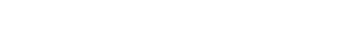 「傷だらけの忠誠心[ストームブレディンガー]」